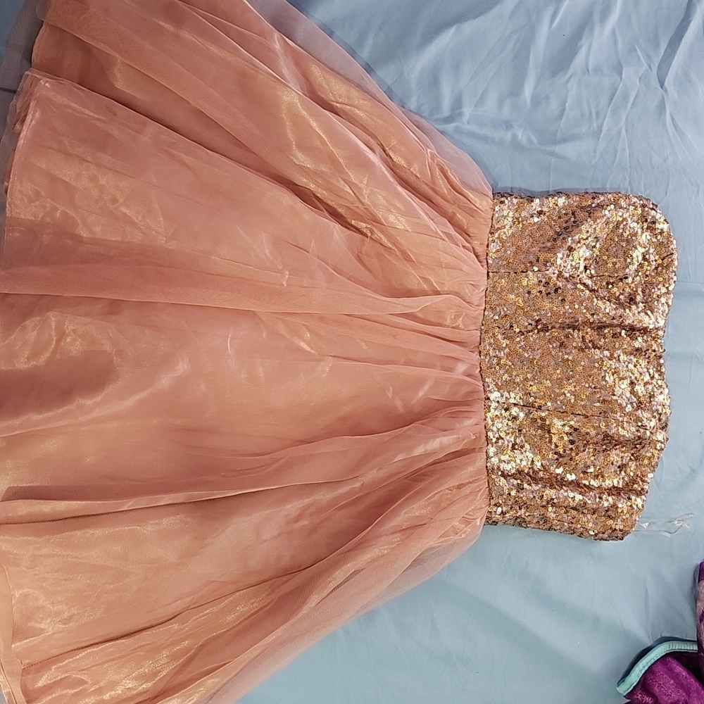 Gold and Pink Sequin Dress